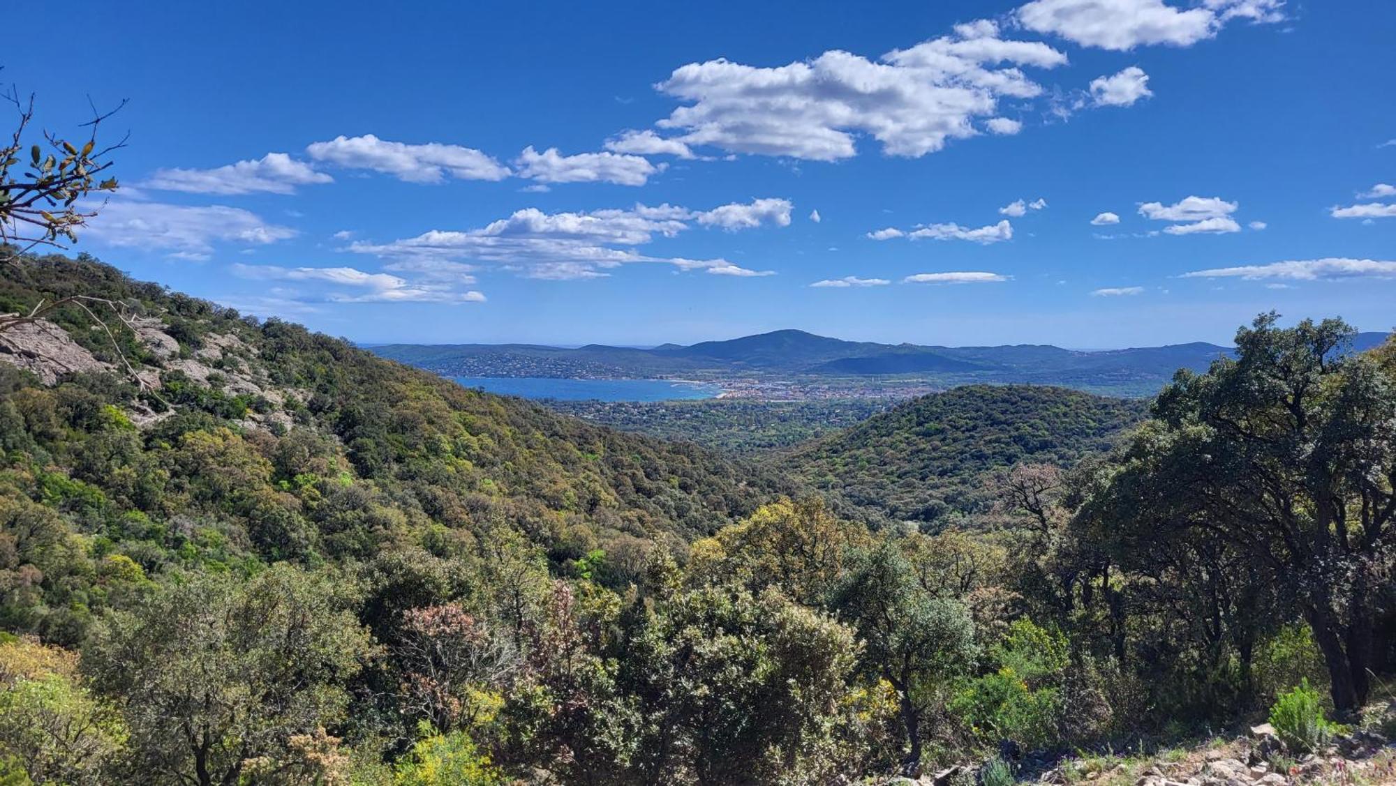 L'Aloe Vera Le Plan-de-la-Tour Dış mekan fotoğraf