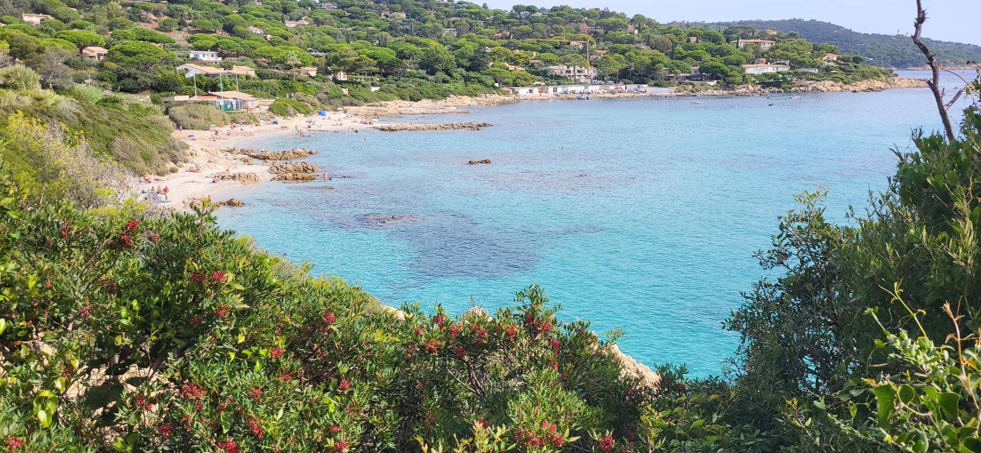 L'Aloe Vera Le Plan-de-la-Tour Dış mekan fotoğraf